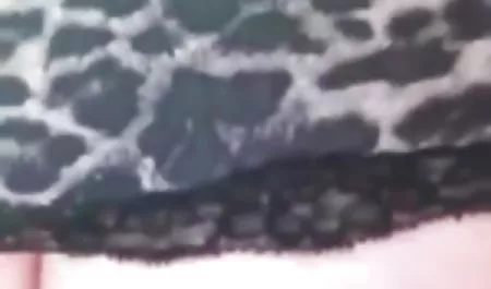 داغ لعنتی یک سبزه سکس ورزش یوگا شرجی