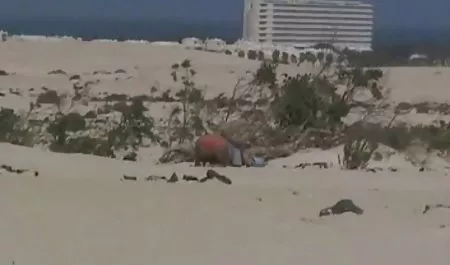 دختر فیلم ورزشی سکسی جوان دیک را برای پول می خورد